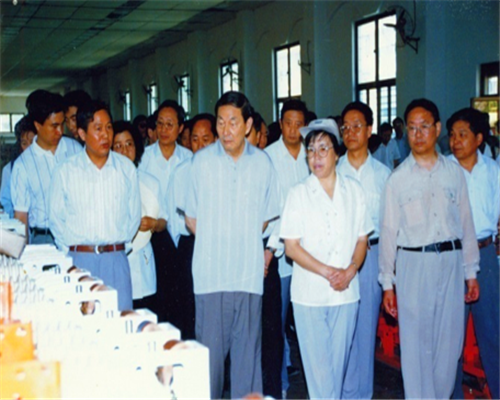 1996年6月，朱镕基總理視察天水長(zhǎng)城開(kāi)關(guān)廠